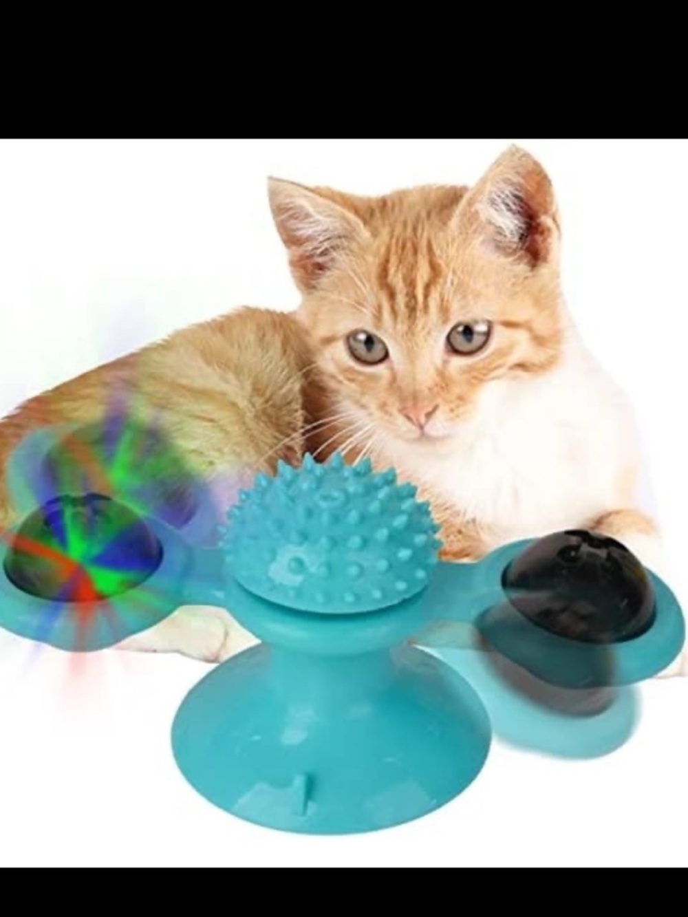 Teal Cat Interactive Suction Toy